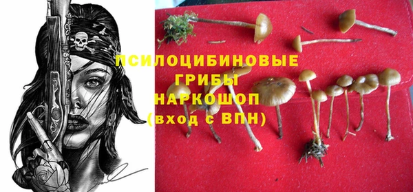 марки nbome Вяземский
