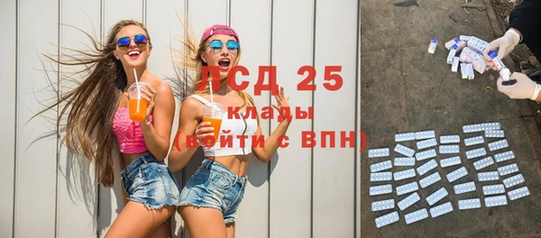 шишки Вязники